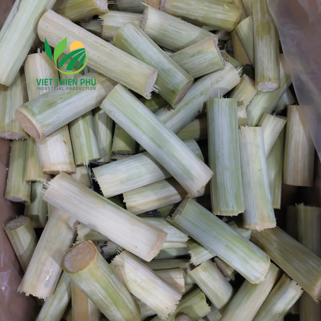 HOT SALE-FROZEN SUGARCANE COMPETITIVE PRICE AND HIGH QUALITY FOR EXPORT FROM VIETNAM GARDENS