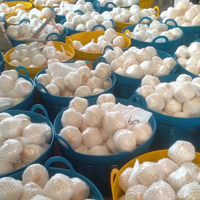 Top Selling  Fresh Coconuts From Thailand