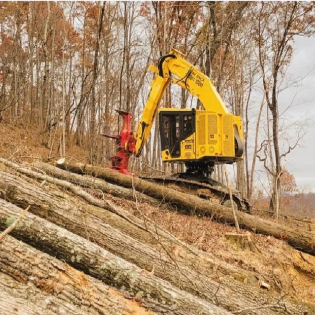 Cheap Original XT430-5  Forestry Products Tracked feller buncher