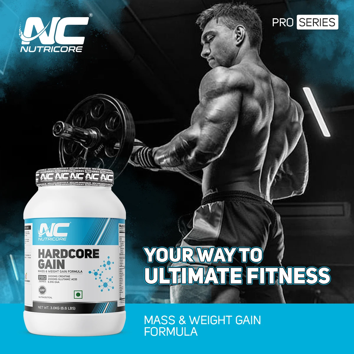 Wholesale Hardcore Gain Flavored Mass Gainer Supplement 3kg Packaging Size