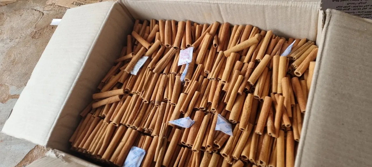 Lauraceae /Cinnamon Danish / Sai Gon Cinnamon/ Ecorce de Cassia Cinnamon