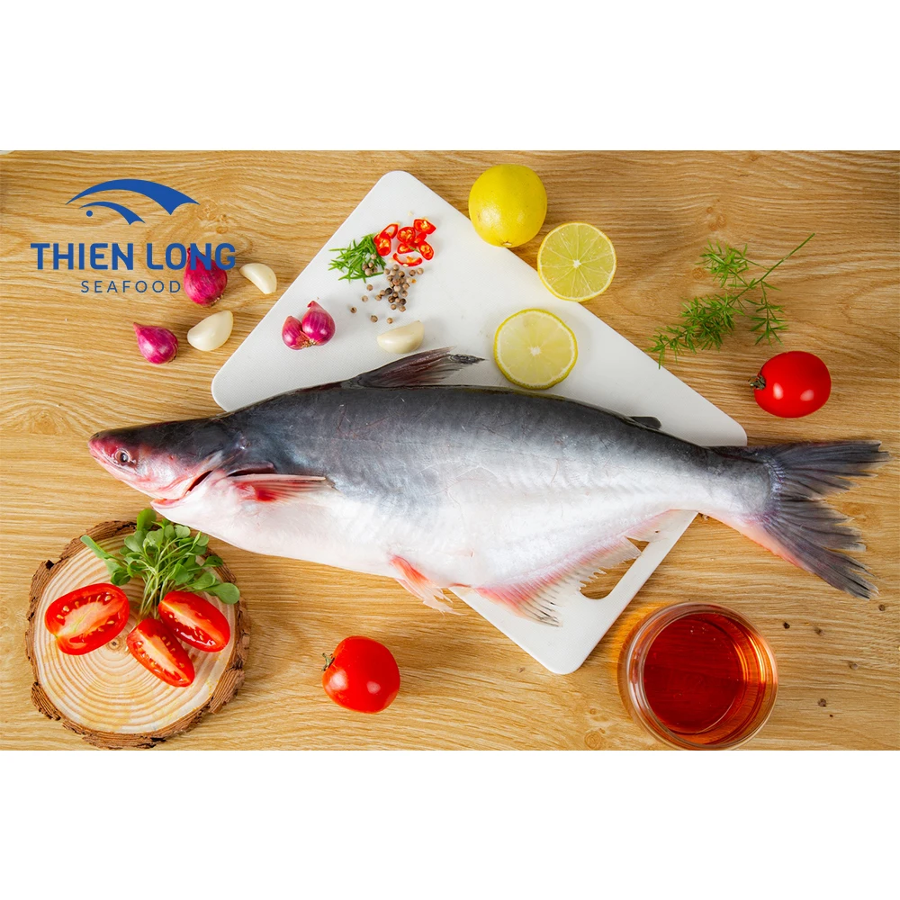 High Quality IQF Whole Round Pangasius Fish With Weight 10kg And Shelf Life 24 Months From Vietnam