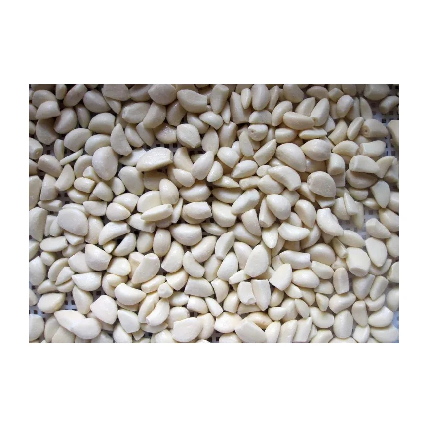 Bulk IQF Frozen Fresh Peeled Garlic Cloves