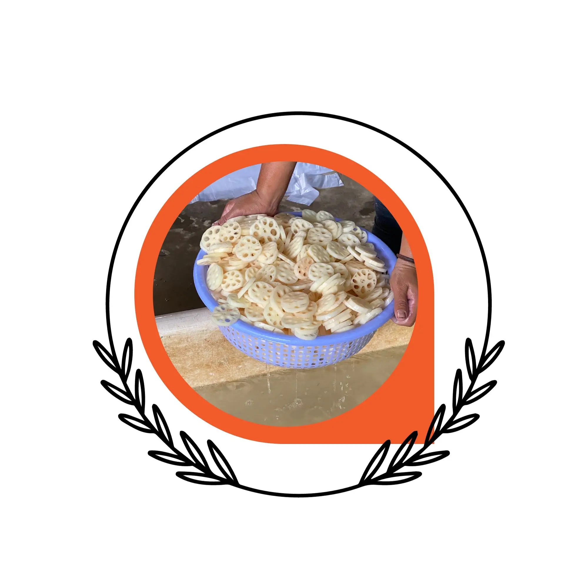 Frozen Lotus Root Slices Fresh Wholesale Frozen Bulk Style Time Packaging Natural Color Weight Cheap Price