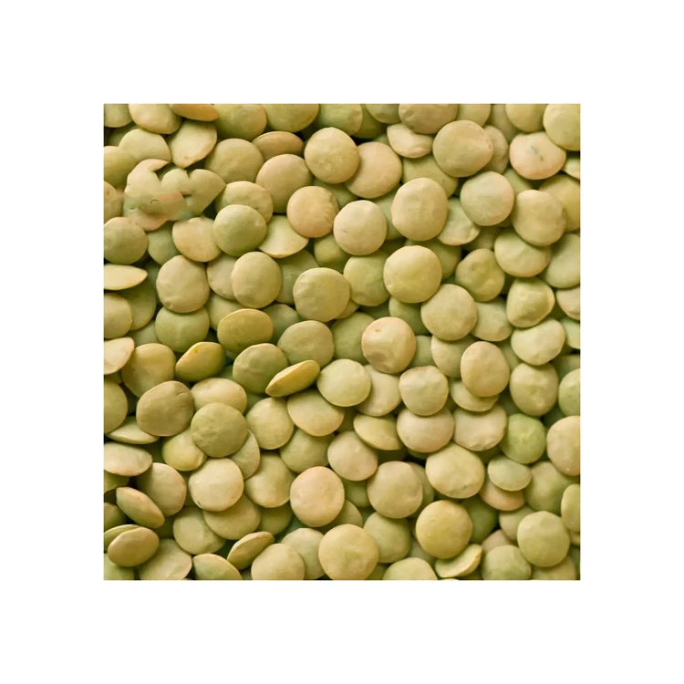 Best Price Canadian Whole Green Lentils Dry Organic Green Lentils Bulk Stock Available With Customized Packing