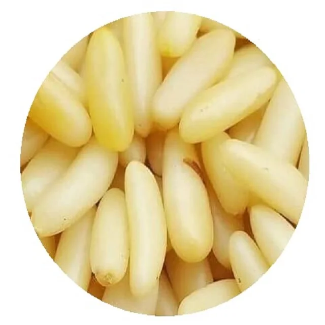 Fresh Pine Nuts New Crops 2022 Wholesale Price Bulk