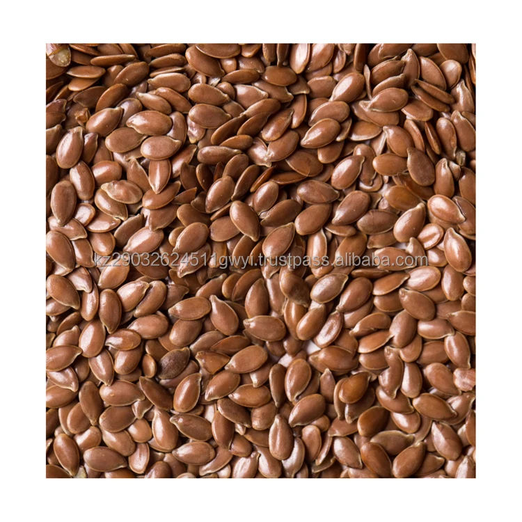 Natural enriched grains Oil flax seeds nutrition for birds and animals feed from Kazakhstan manufactures