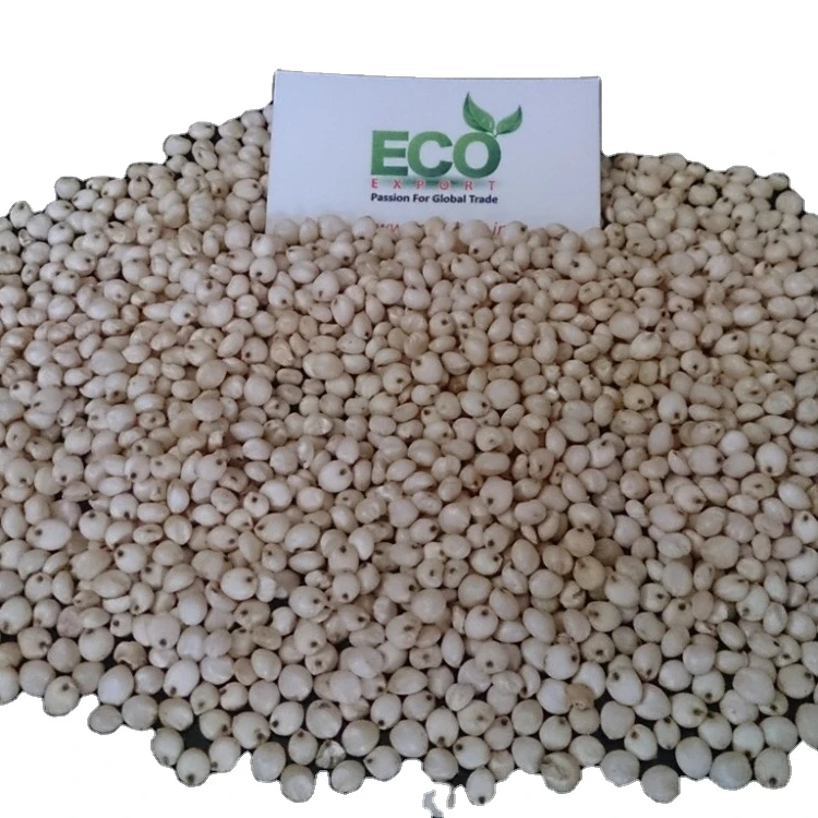 Хорошая цена, высокопрофессиональный производитель красного, белого и желтого сорго