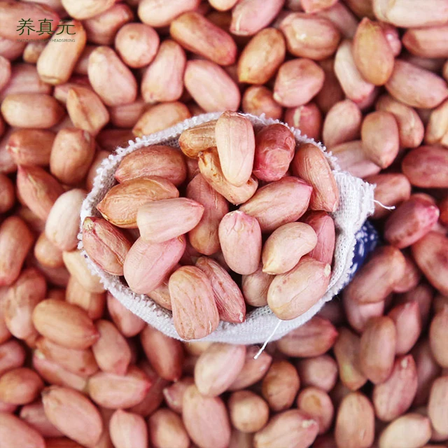 Buyers For Wholesale Jumbo Raw Peanuts High Quality Natural Bold Blanched Peanuts Kernels