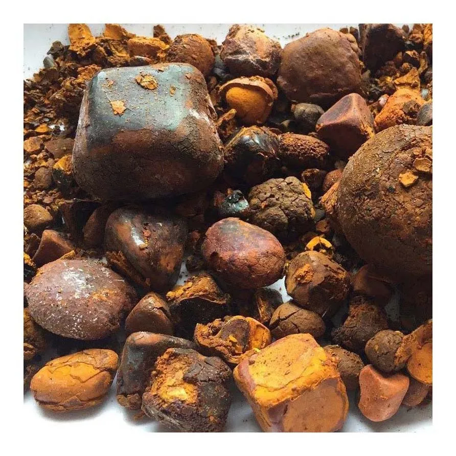 Недорогие камни коровьего желчного/бык GallstonesNatural и чистое высокое качество для продажи Новое поступление по низкой цене