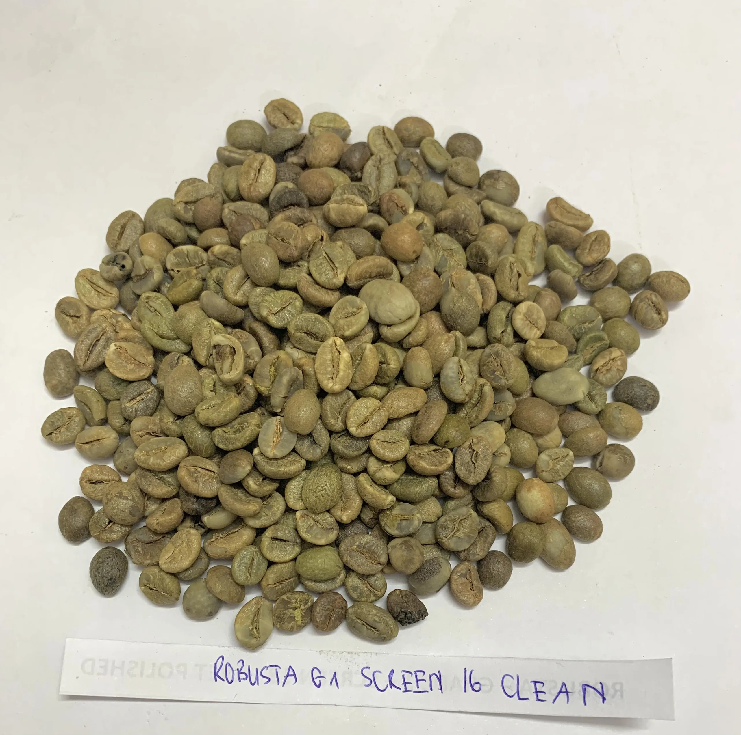 [Free sample] top quality green beans coffee Robusta/Arabica Green Coffee Beans from Reliable Vietnam Supplier +84363565928