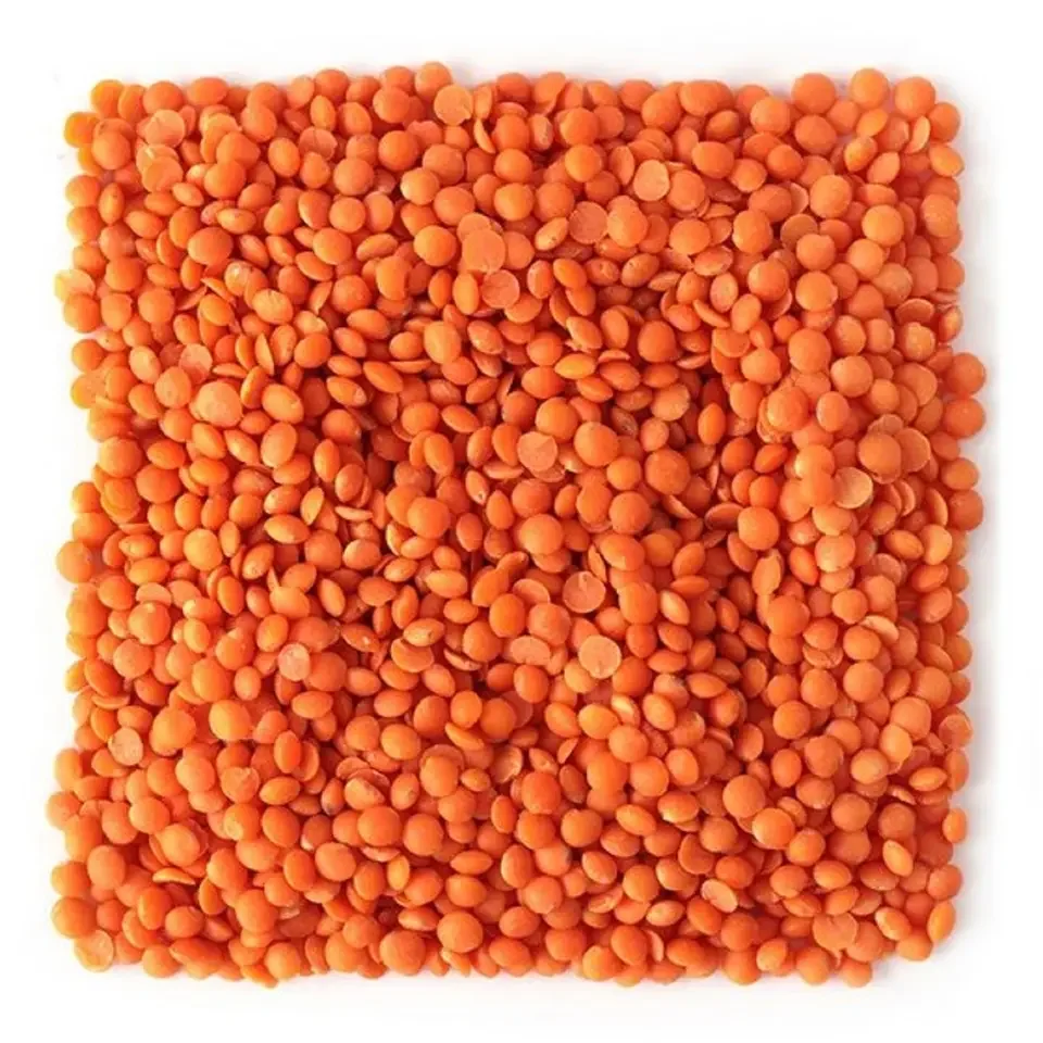 Cheap Red Lentils for bulk sale