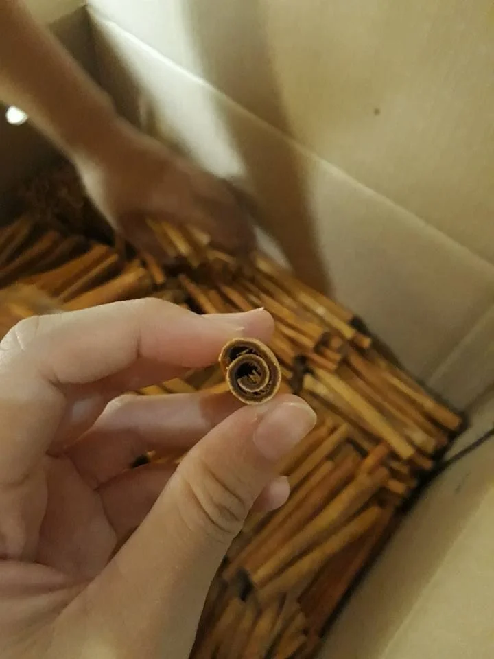 100% Dried Cortex Cinnamon Cassia Stick / Good Factory Price For Export / Vietnam