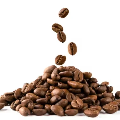 High Quality Dried Grade Cocoa Beans Powder Butter for Trade Sale Premium Cacao/Chocolate Bean Supply