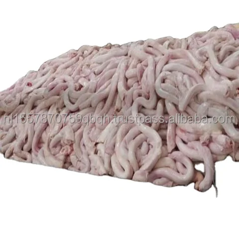 Frozen Beef Pizzle (PENIS) Fresh Chilled Processing Beef Penis Halal Nutritious Frozen Buffalo Meat Beef Pizzle Cheap price