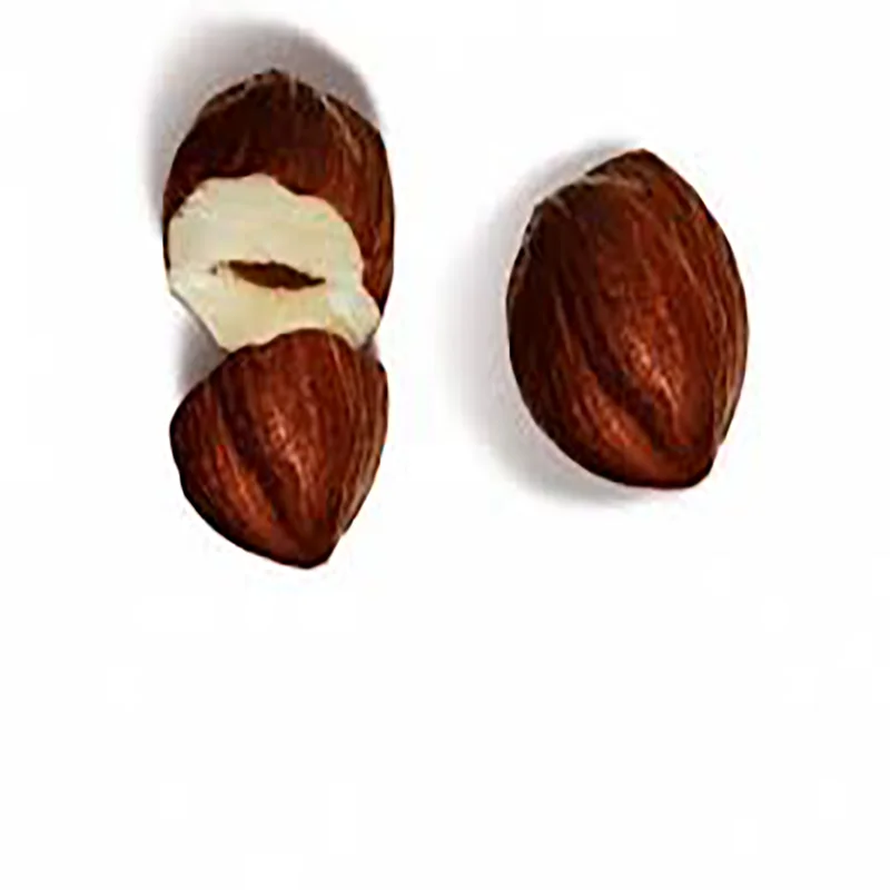 High Quality Made In Italy Delicious blanched hazelnuts 1 kg x10 in 1 Carton Box Wholesale Premium