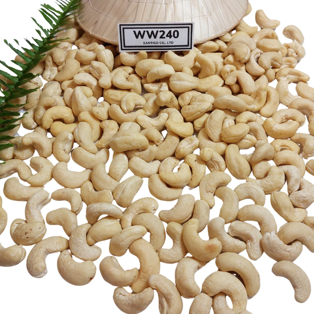 Trusted Supplier Raw Cashew Nuts Cashew Nuts Raw Cashew Nuts Vietnam From Santigo Vietnam