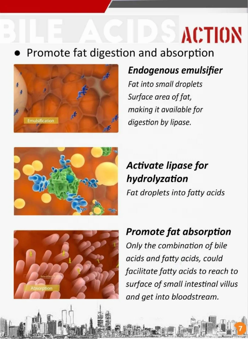 Promote Growth Product Bile Acids Protect Shrimp with Good Growth Performance