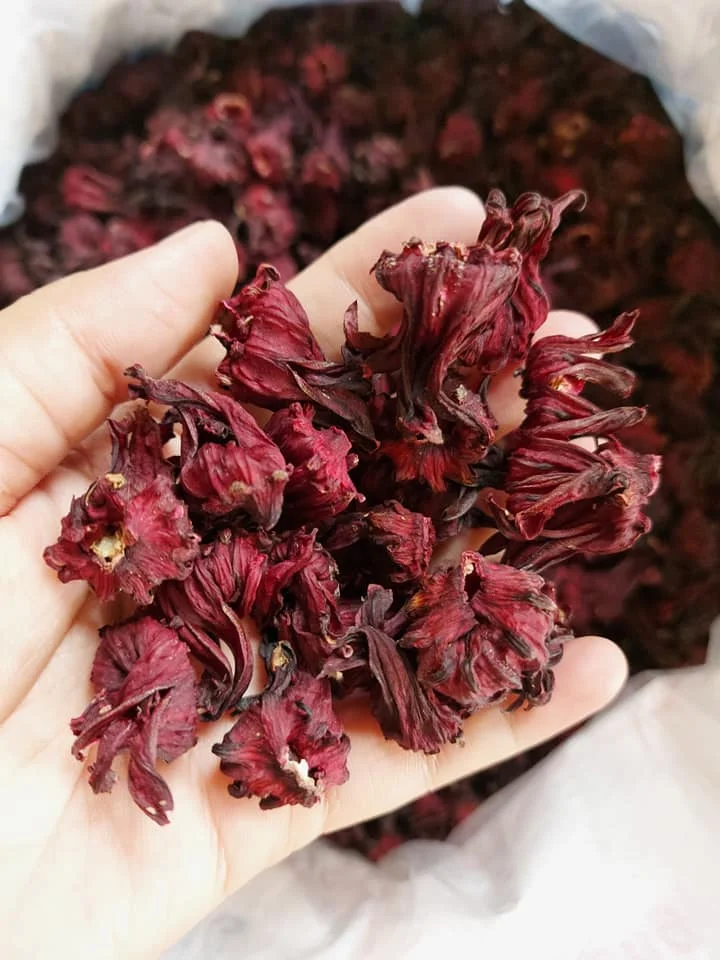 Top sale Vietnam Herbal tea - Dried flower Hibiscus Chamoline Lavender from factory
