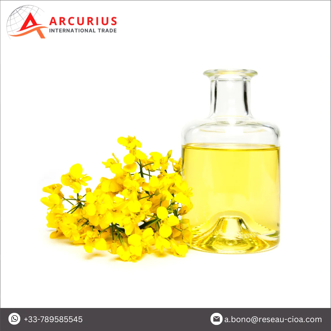 Global Manufacturer Selling Certified Quality of High Purity Refined Rapeseed Oil at Wholesale Price