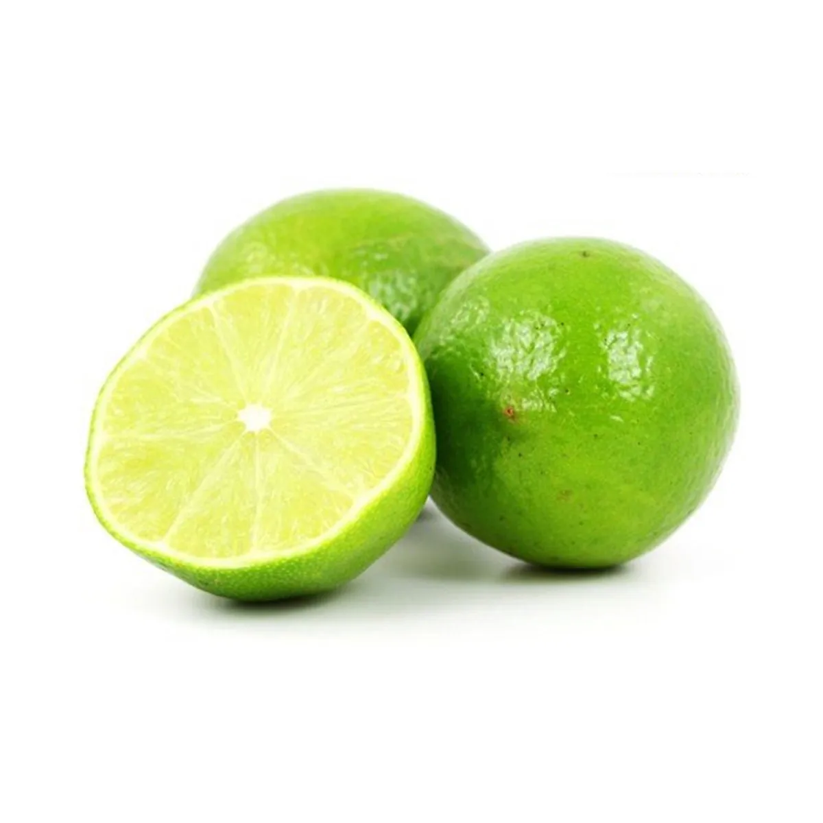 Fresh Seedless Lime High Quality Fresh Lime Cheap Price Fresh Green Lemon from Vietnam for export
