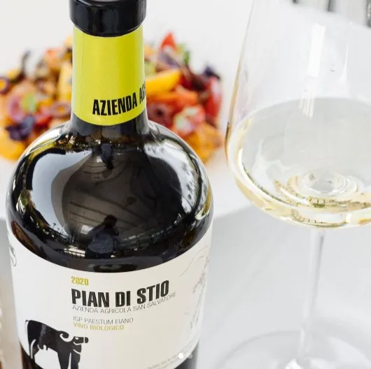 Top Quality PIAN DI STIO IGP Paestum Fiano Organic 2020 750ml alcohol 13% italian white table wine for sell