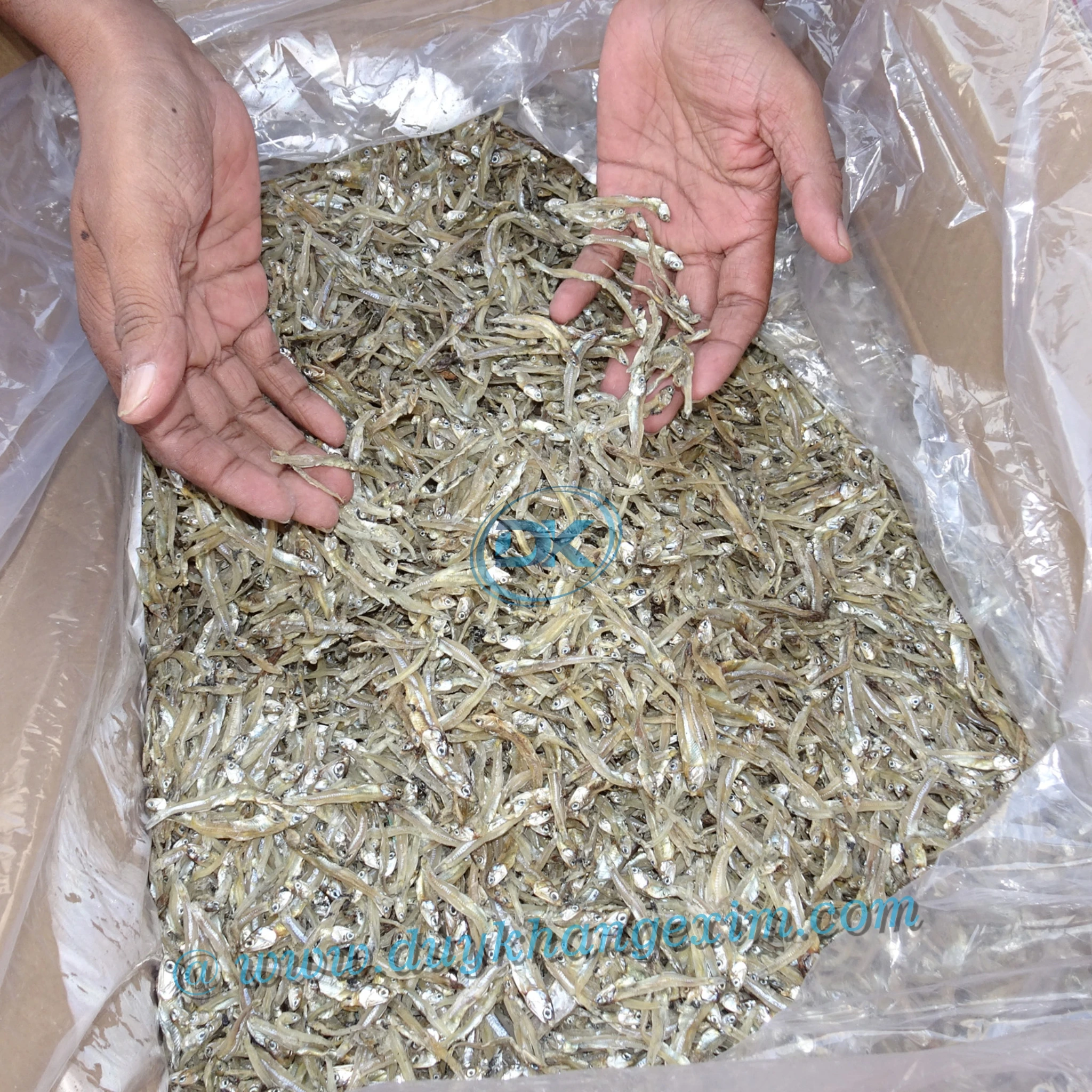 Anchovies sea fish dried from Vietnam at Good Price/ *New Season Catching*