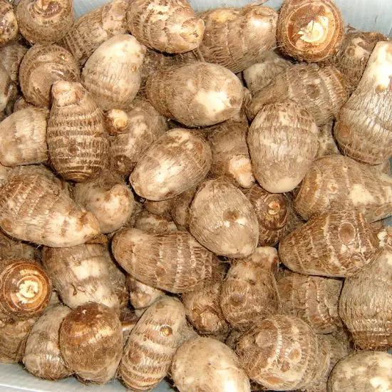 Taro свежий/свежий taro