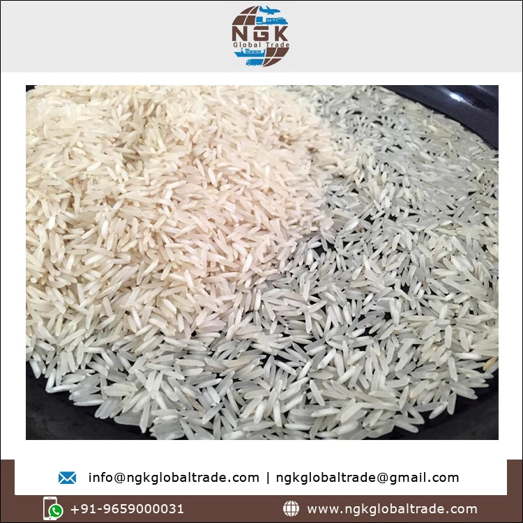 Best Quality Top Selling Pure Original Taste Soft Texture Long Grain Rice White Pusa Raw Basmati Rice from Indian Supplier