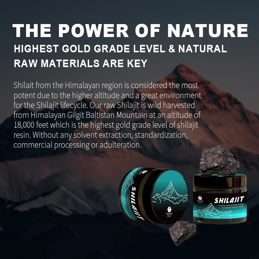 OEM ODM Shilajit Resin Pure Himalayan Organic Shilajit Resin Supplement Natural Shilajit Resin With Fulvic Acid Trace Minerals