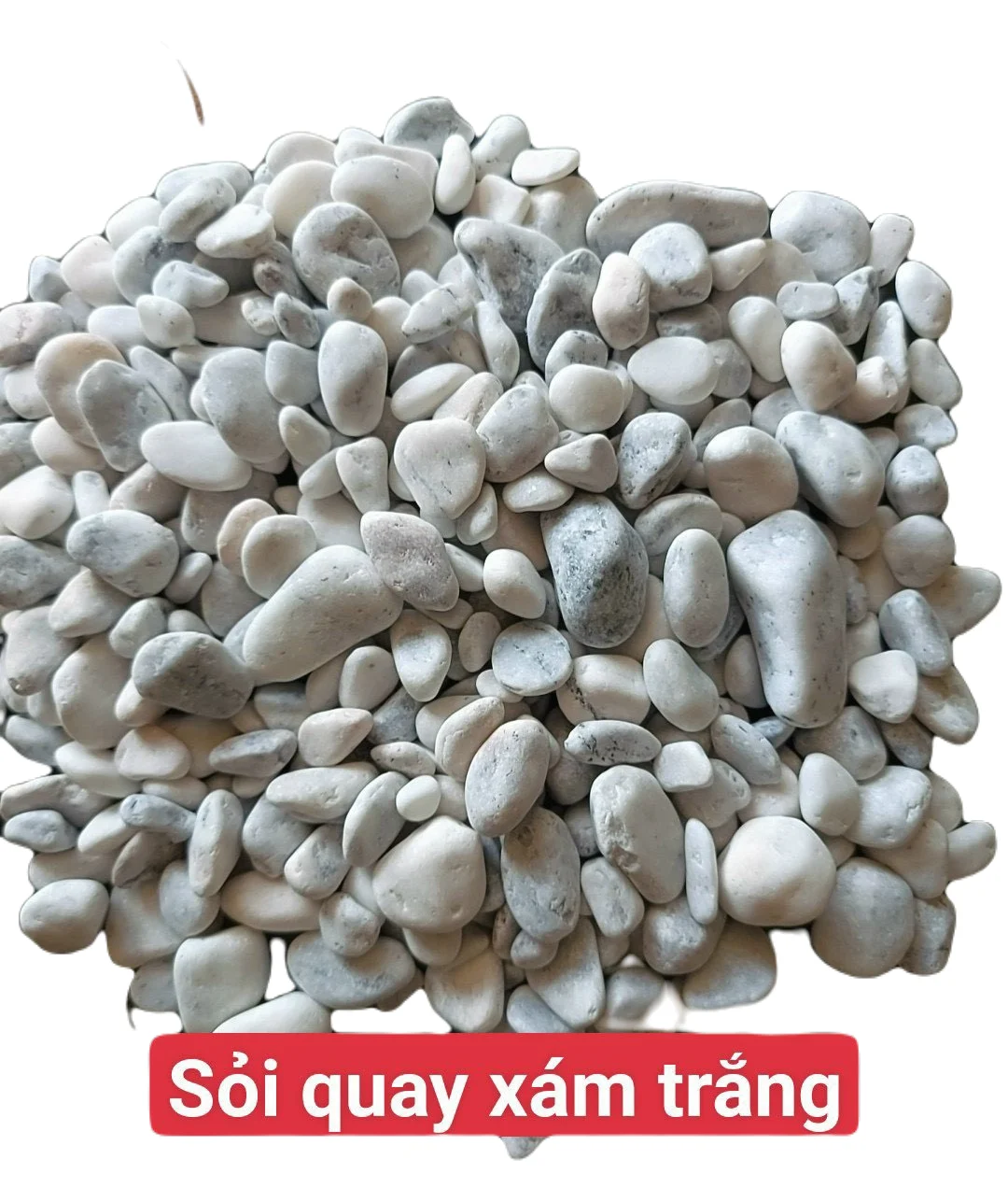 HOT SALELandscape Decoration Driveway Pebble River Stone Various mix size/color Natural Rain Flower Cobbles & Pebbles stone