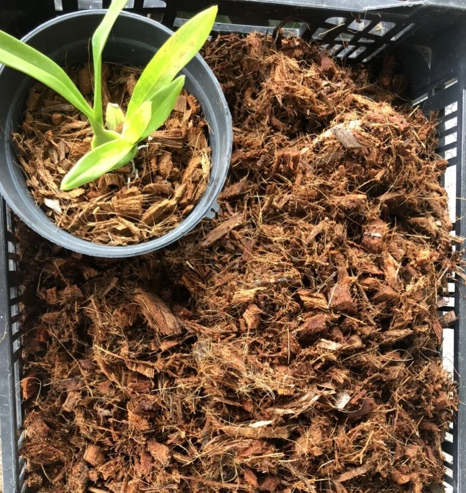 Peat Pellet Seed Starting Plugs Seeds Starter Pallet Nutrient Soil Block Garden Tools Seedling Soil Block Space Discount Room