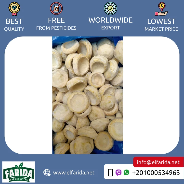 Egypt Origin Exporter of Superior Quality 100% Natural Delicious Taste Frozen Artichoke Bottoms (5-7) cm / (7-9) cm