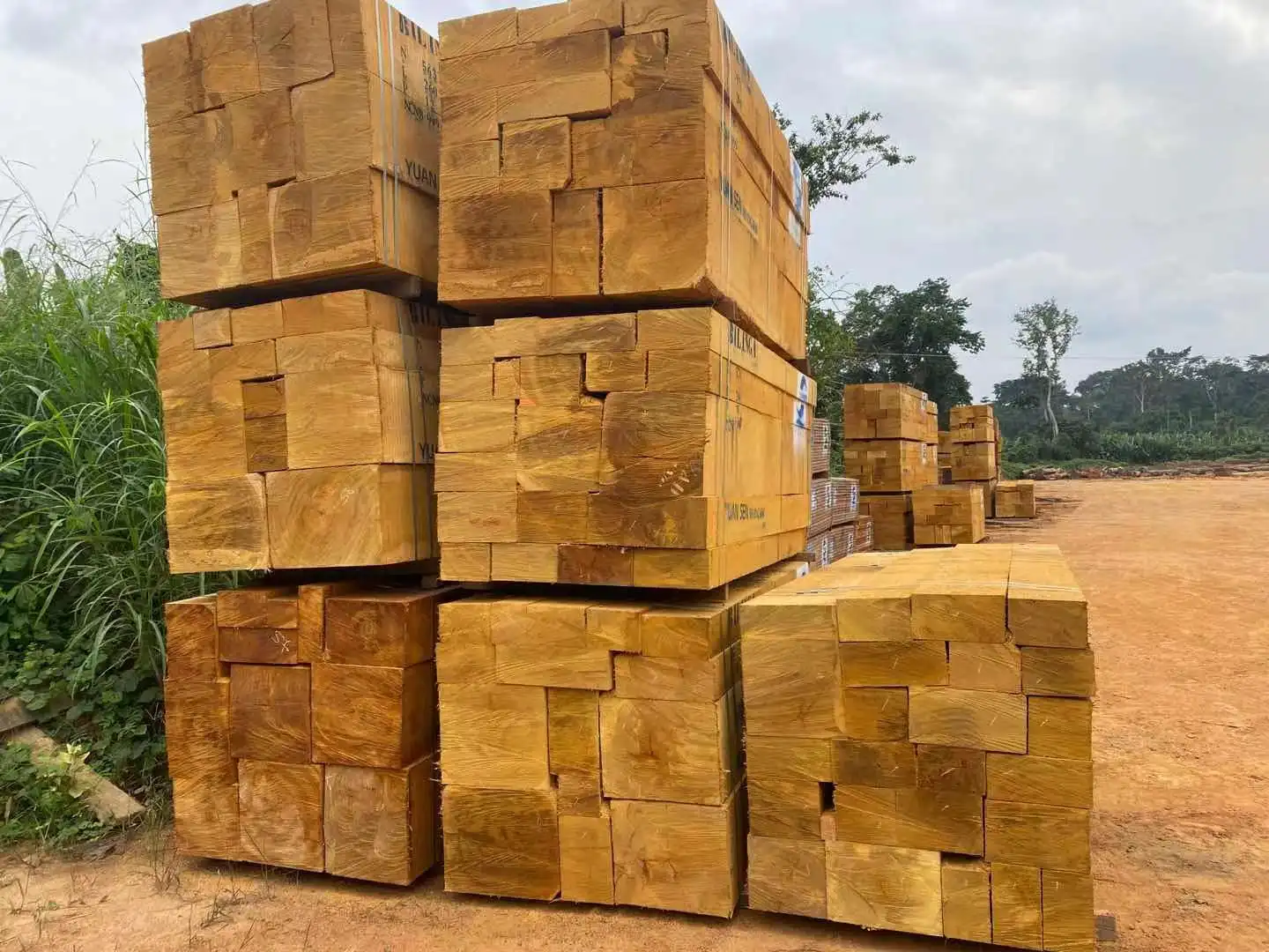 Bilinga sawn timber from Gabon, High quality with low price