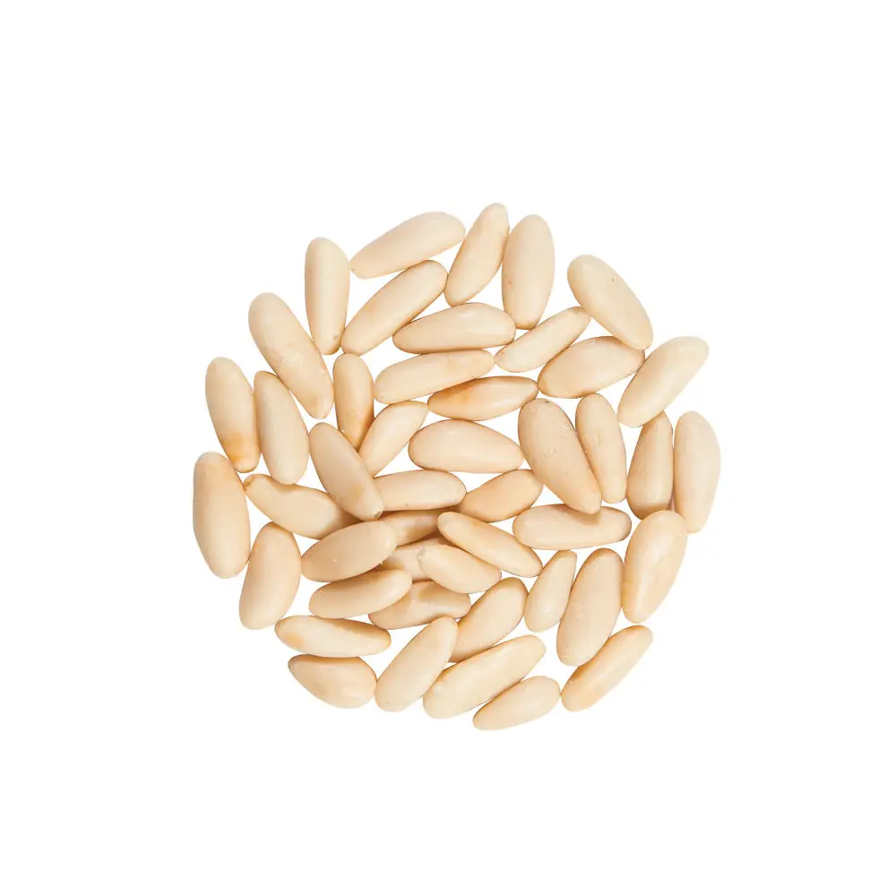 Fresh Pine Nuts and Quality pine nuts