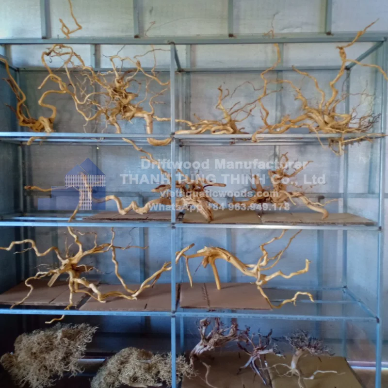 Hot Selling 2024 Decor Roots high quality for creative home decoration with best price from Vietnam WhatsApp: +84 963 949 178