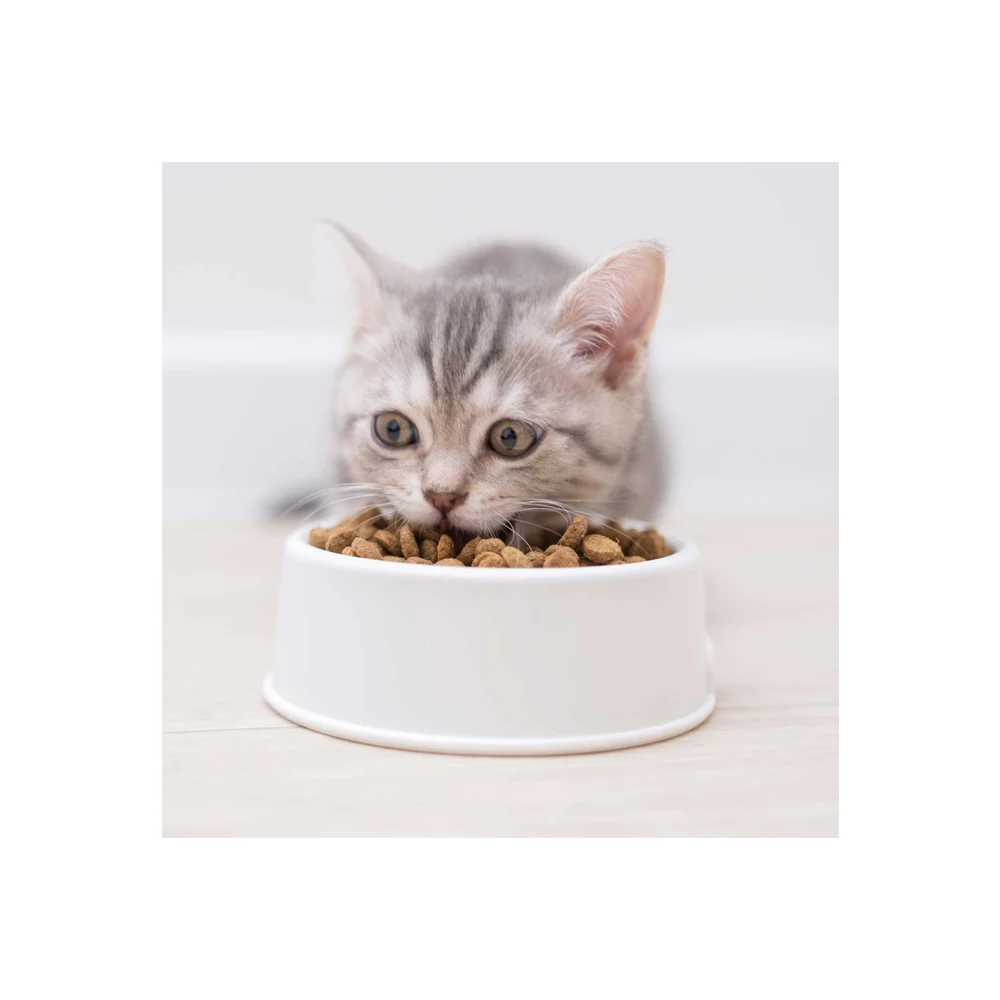 Factory Hot Selling Pet Food Wet Cat Food Cat Food At Best Price