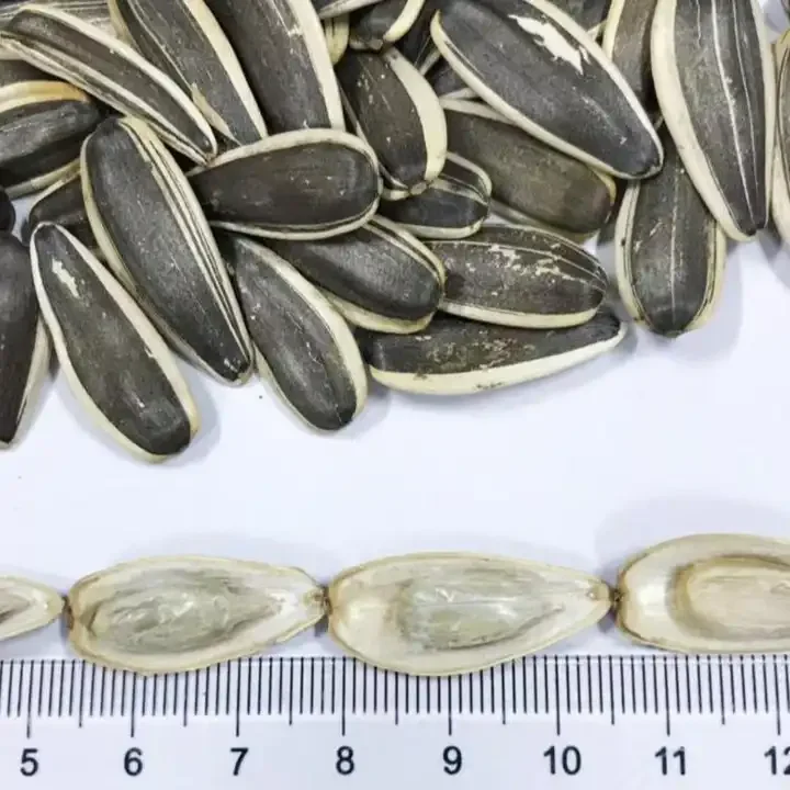 Sun flower Seeds New Crop Wholesale Thailand sun flower seeds 363/361/601