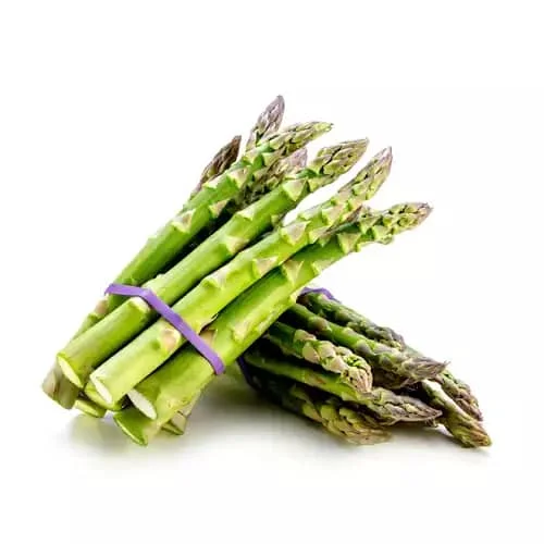 Wholesale buy fresh vegetables green bibit asparagus seeds root