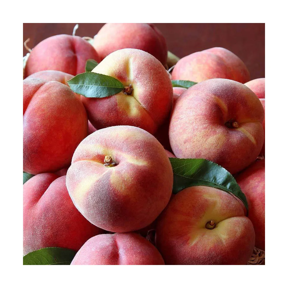 Fresh Peaches / Fresh Nectarines Class 1 (Premium Quality for sale.