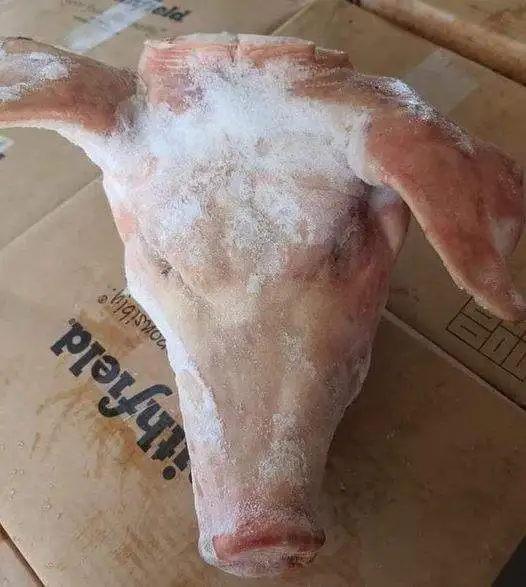 High Quality Frozen Pork Heads Whole or Half Pork Ears