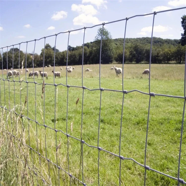 Galvanized Mesh Wire Farm Fencing cattle horse sheep sports game wire farm fence