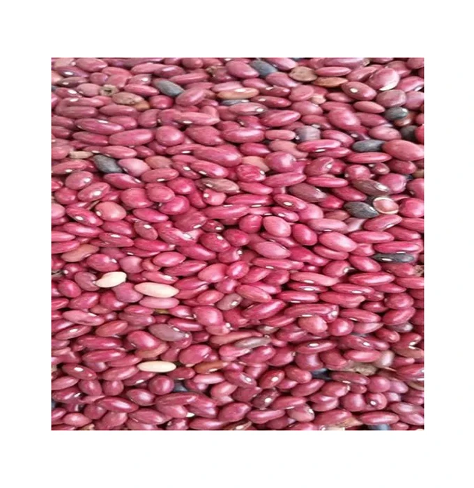 Wholesale Price Optimum Quality Top Selling Nutritious Organic Dried Red and White Kidney Beans for Bulk Purchase