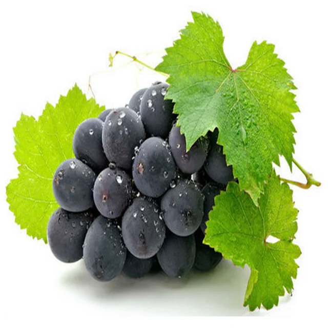 Best Price Fresh Grapes Bulk Fresh Red Crimson Seedless Fresh Grapes