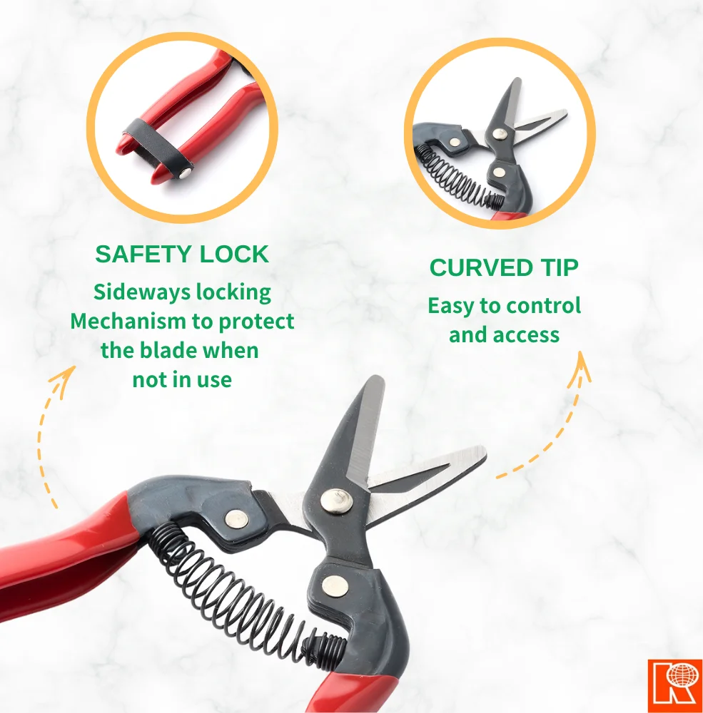 Kwang Hsieh Curved Floral Pruner for Grape Pruning and Fruit Trimming