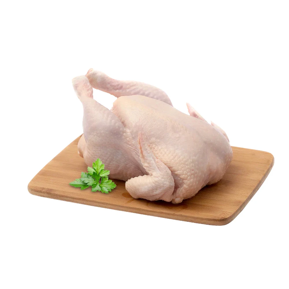 Best Quality Halal Chicken Frozen Breaded Chicken For Sale