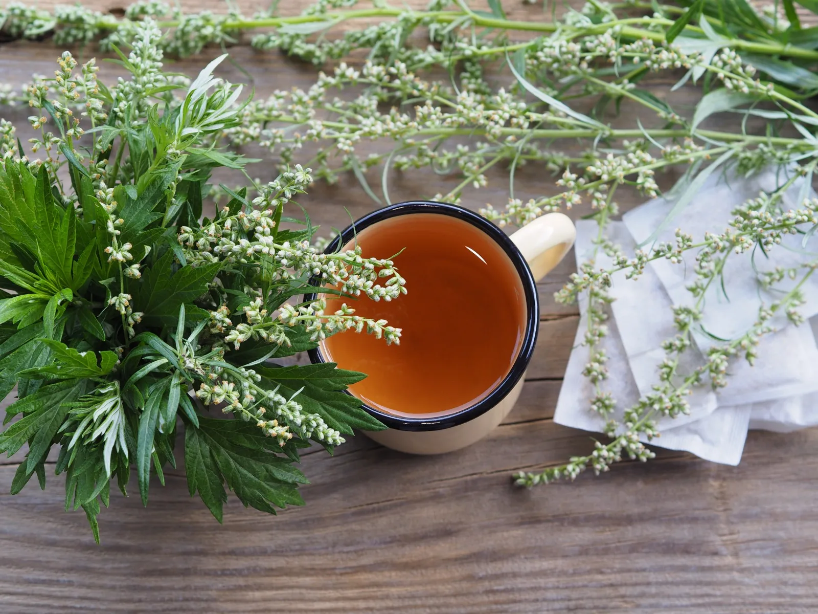 Organic Mugwort Tea USDA & EU Organic Certified Premium Herbal Tea Leaves Wholesale From Thailand Organic Tea