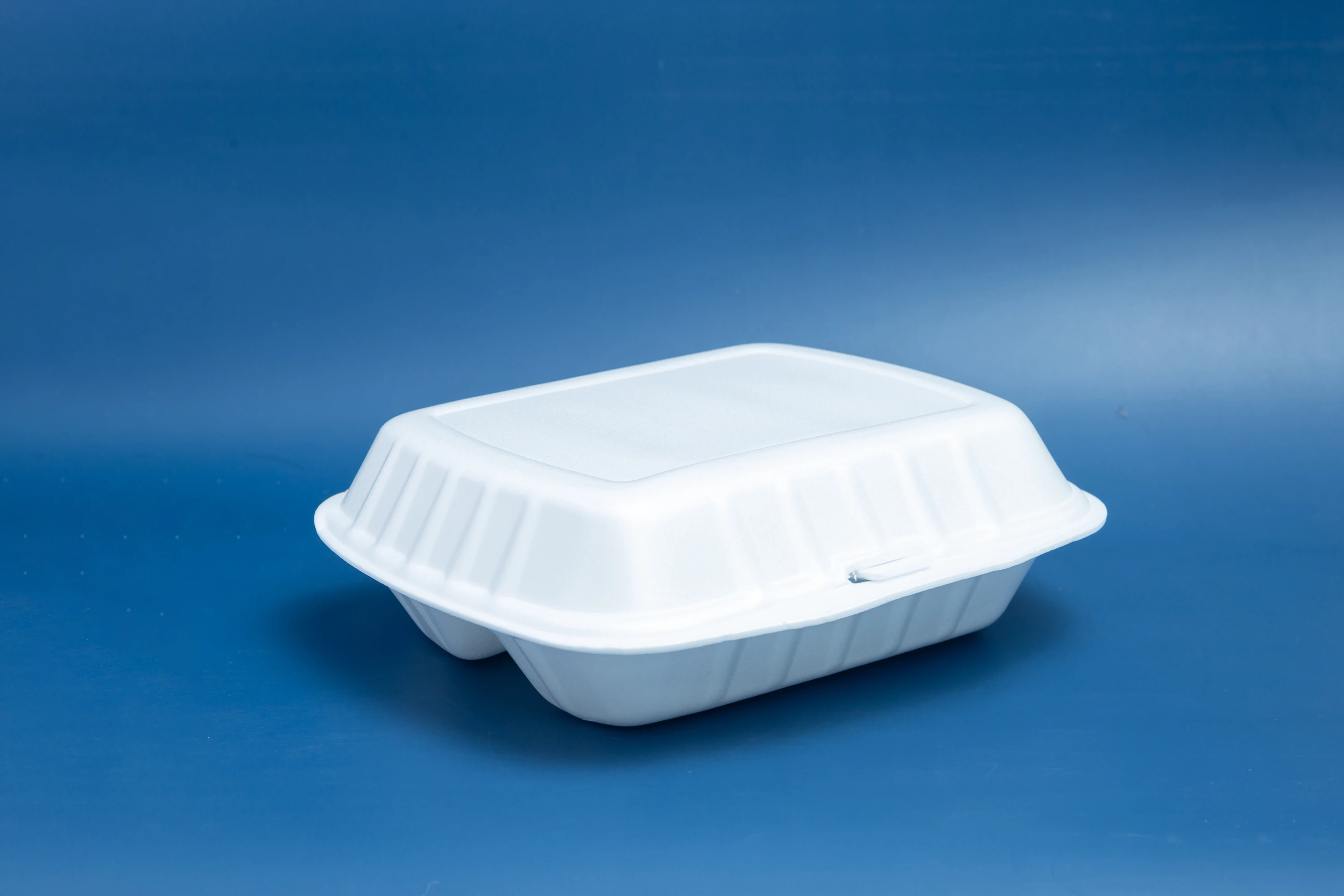 Low Price Ready to Ship Disposable PS Foam Food Container Take Away Lunch Box White Color Exported Form Vietnam
