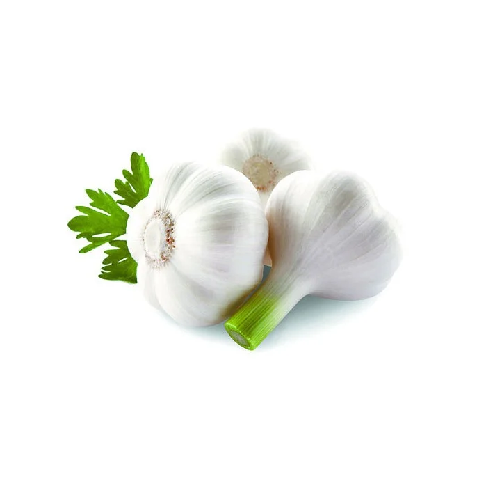 100% Natural Quality Fresh White Garlic Fresh Vegetable Bulk Garlics For Sale