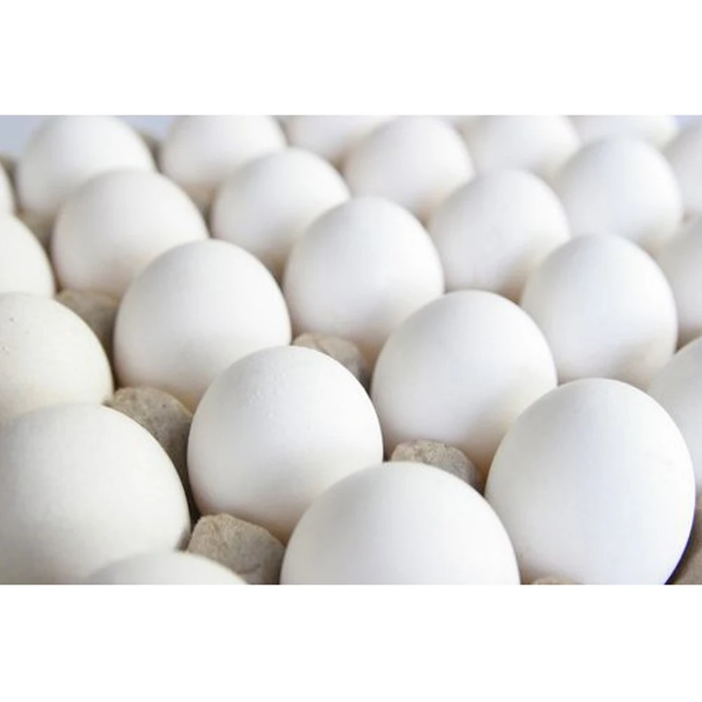 Fresh Chicken Table Eggs Brown and White Broiler Hatching Eggs / Fertilized Chicken Eggs